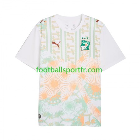 Tenue Côte d Ivoire Exterieur World Cup 2026 Maillot de Foot